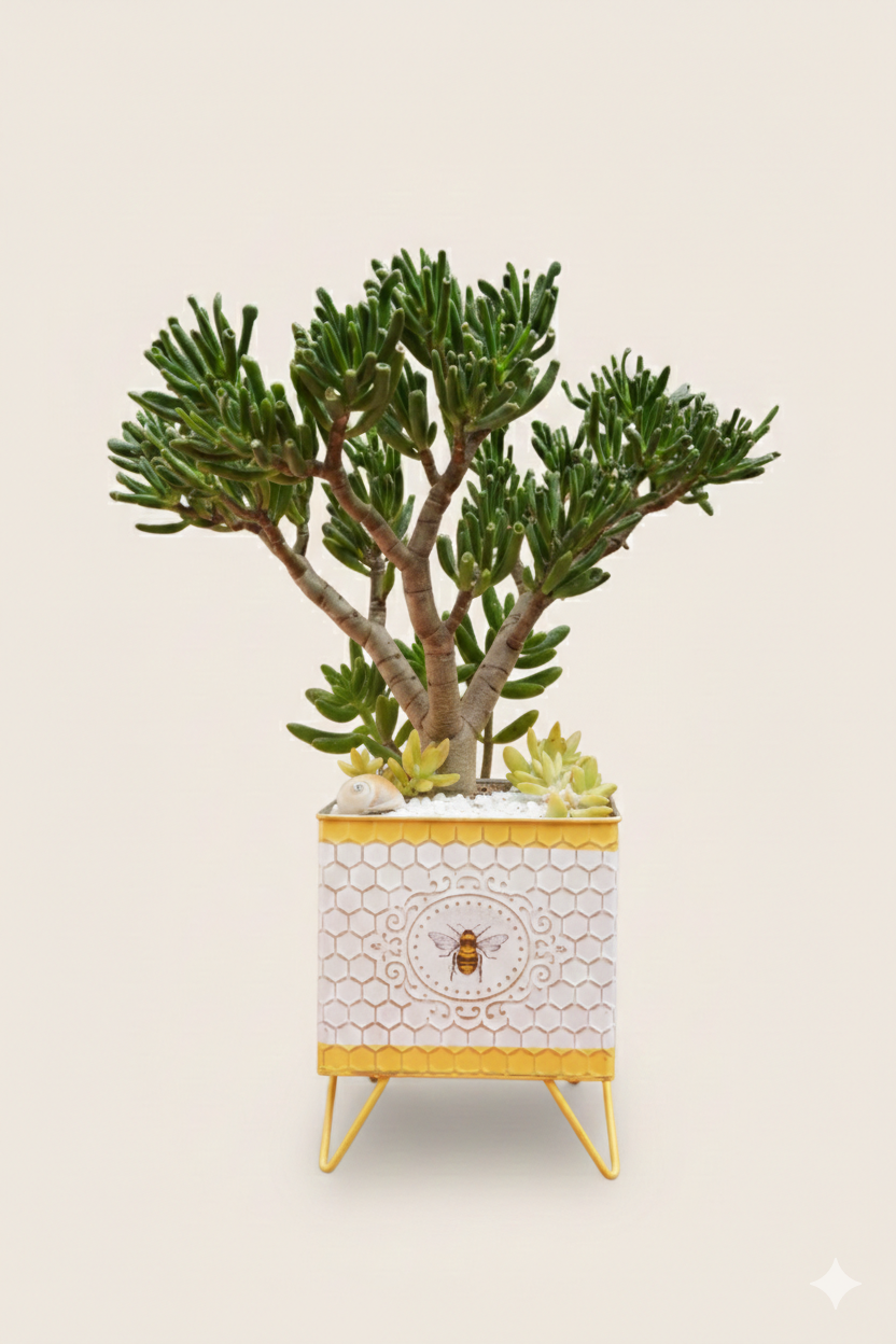 oreja de shrek maceta de abeja